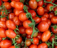 Pomodori datterini pelati: scopriamo quali sono le caratteristiche, i valori nutrizionali e i benefici legati al loro consumo nei migliori piatti