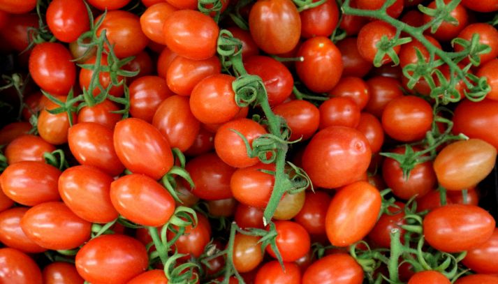 Pomodori datterini pelati: scopriamo quali sono le caratteristiche, i valori nutrizionali e i benefici legati al loro consumo nei migliori piatti