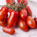 Il pomodoro San Marzano è particolarmente apprezzato per le sue caratteristiche, che lo rendono perfetto per pelati e conserve