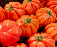 Pomodori cuore di bue: caratteristiche e usi in cucina