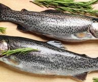 il salmerino è un ingrediente ottimo per tante ricette