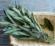 la salvia è un ingrediente ottimo per tante ricette