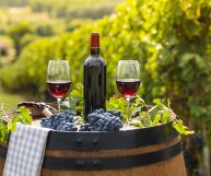 San Gimignano DOC Sangiovese, vino ottimo con la carne