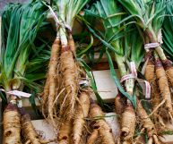 Scorzobianca: cos'è e come si usa