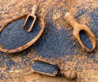 Scopriamo tutti i benefici e le proprietà dei semi di papavero, i piccoli semini bianchi o neri spesso impiegati nei prodotti da forno