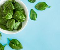 Gli spinacini sono usati per arricchire gustose insalate ma anche per la preparazione di particolari ricette della tradizione italiana come lo Spinacino