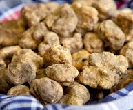 Vediamo insieme quali sono le caratteristiche principali, i valori nutrizionali e i benefici del tartufo bianco e quali sono i suoi principali usi in cucina