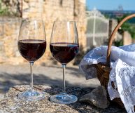 Teroldego Rotaliano DOC, vino ottimo con brasati, arrosti e carne in umido