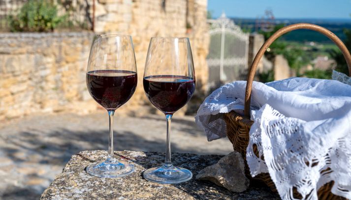 Teroldego Rotaliano DOC, vino ottimo con brasati, arrosti e carne in umido