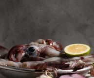 totani: valori nutrizionali e utilizzi