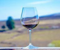 Trentino Cabernet DOC, bicchiere su sfondo di campagna