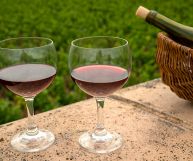 Velletri DOC Rosso, vino ottimo con i secondi di carne del Lazio