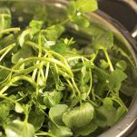 Insalata di crescione e bacon