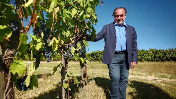 Vino: Caprai, con Rolland per un Sagrantino 'mondiale'