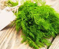 Un mazzo di aneto fresco, con foglie folte pronte per insaporire gustosi piatti; è legato con un cordino con etichetta; sotto piano di legno di pino