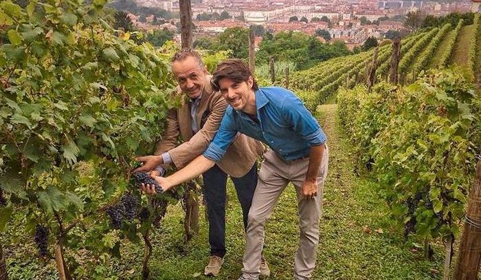 Vendemmia in città a Torino, si raccolgono uve della Regina