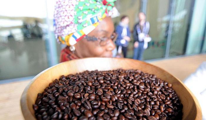 Dalle montagne del Ruanda a New York l'Oscar del caffe'