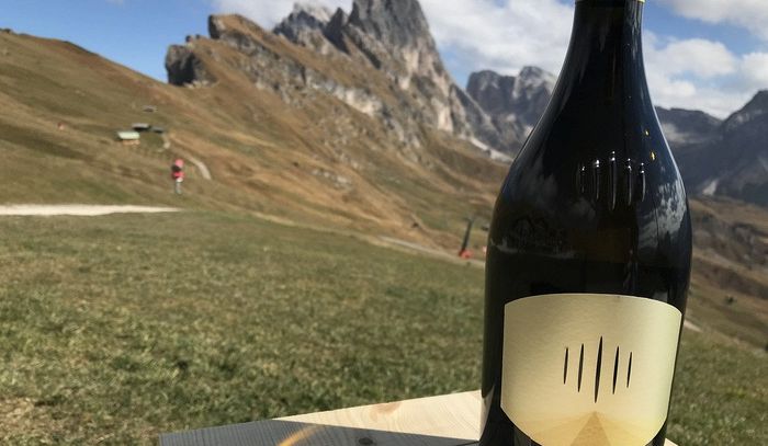 Vino: nasce Troy, nuovo Chardonnay di montagna