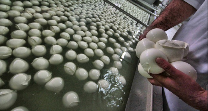 Un contest letterario dedicato alla mozzarella di bufala