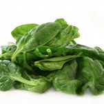Spinaci