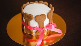 Torta per cani