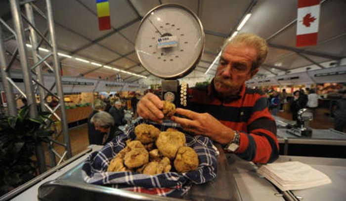 Show cooking chef stellati per clou Fiera Tartufo d'Alba