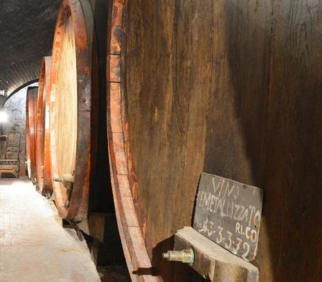 Autunno al Muvis, il Museo del Vino più grande d'Europa