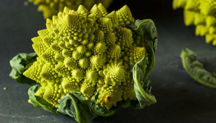 Il broccolo romanesco, appartenente alle verdure crucifere, è un ottimo alleato per una dieta sana ed equilibrata: ecco i suoi benefici per l’organismo