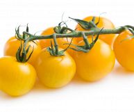 I pomodorini gialli, dal sapore più dolce rispetto a quelli dolci, sono un mix di sostanze benefiche per la salute: ecco le loro proprietà nutrizionali