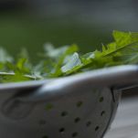 Scolapasta con rucola