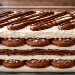torta pan di stelle e nutella a strati