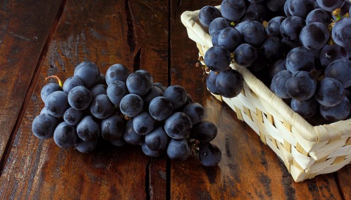 L'uva nera, da cui si ricavano pregiati vini, è un frutto ricco di proprietà benefiche per l'organismo: ecco quali sono i suoi valori nutrizionali