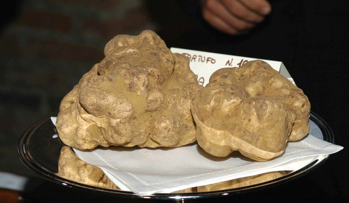 Alba, per la Fiera del tartufo un'ottima annata e presenze record