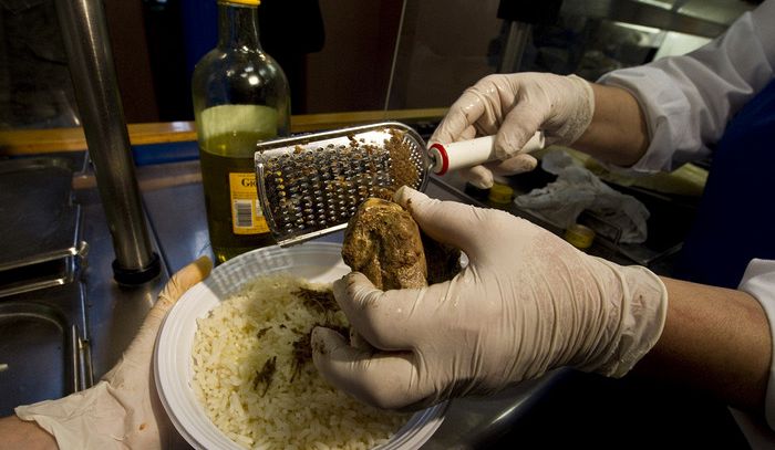 San Miniato a quota 100 'ambasciatori' tartufo