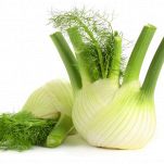 Finocchi