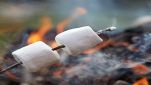 Marshmallow arrostiti