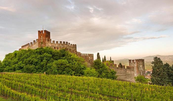 Il Soave Patrimonio Agricolo di rilevanza mondiale