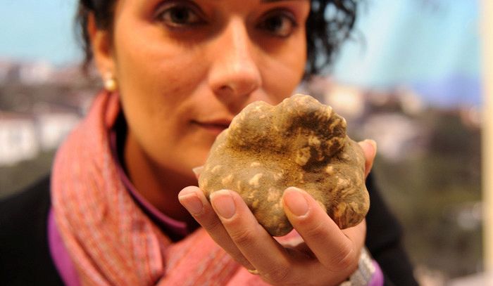 Centinaio, mi adopererò per una legge ad hoc sul tartufo