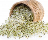 L'erba medica è un alimento ricco di proprietà salutari per l'organismo, grazie al suo profilo nutrizionale completo: ecco tutti i suoi benefici