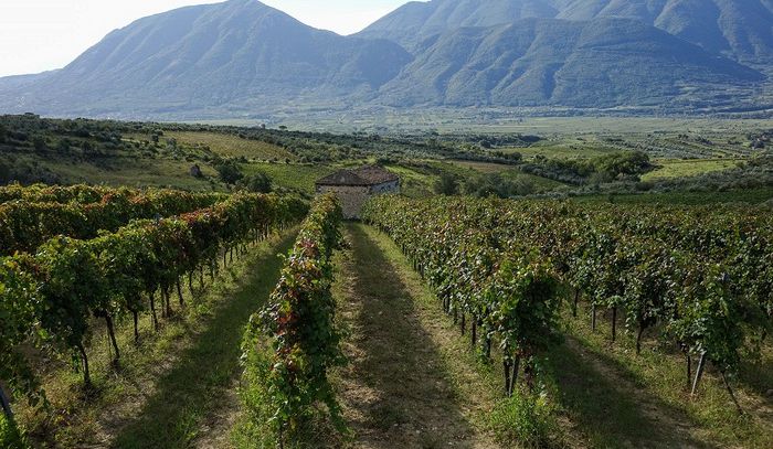 Sannio Falanghina Città europea del vino 2019, 120 eventi