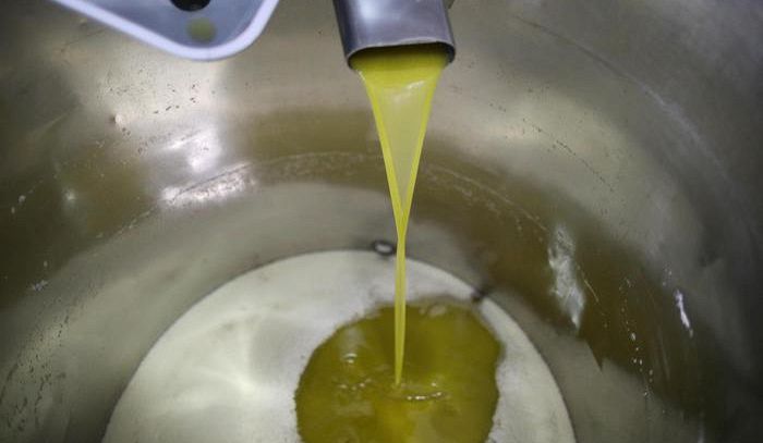 L'olio "non può parlare", aggettivi vietati in etichetta
