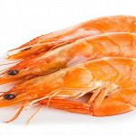 Gamberetti
