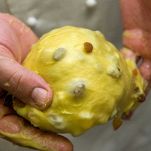 formate una palla liscia e compatta