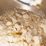 Mettete il lievito madre nella planetaria