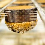 Una volta cotto, sfornate il panettone e capovolgetelo immediatamente infilzandolo con spiedini