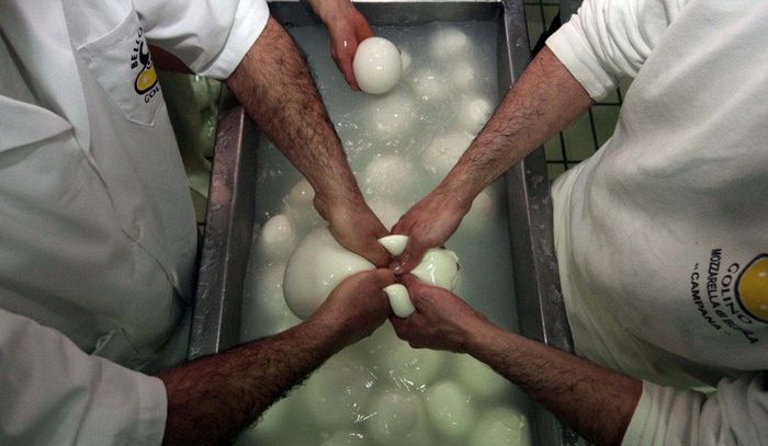 Consorzio Mozzarella bufala campana contro frase di un film