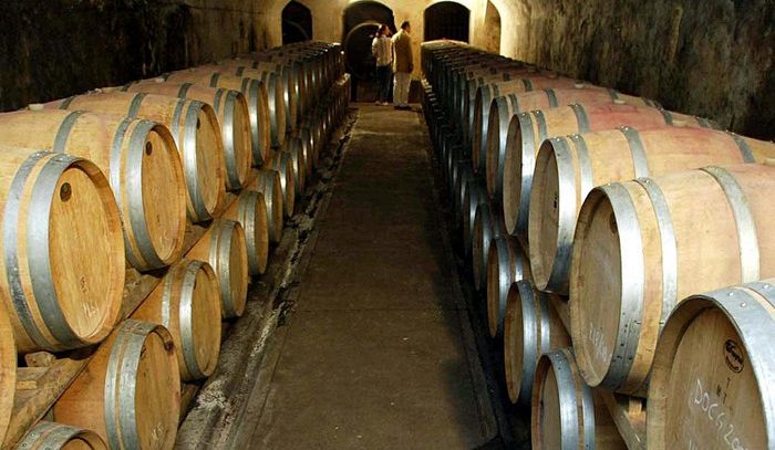 Dagli scarti della filiera del vino energia pulita, meno costi in cantina