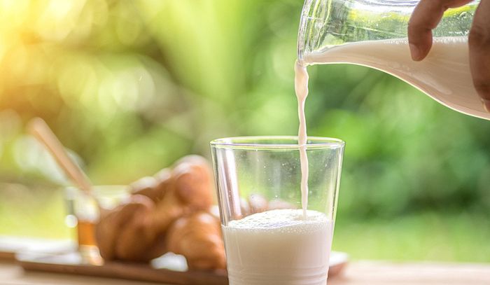 Latte e formaggi fonti di proteine amiche dell'ambiente