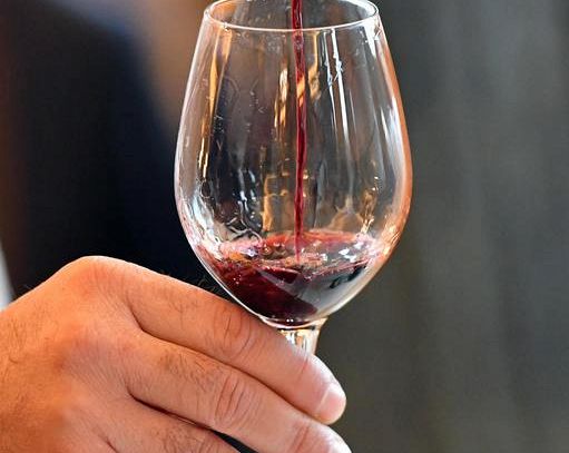 Nasce nel vicentino il primo vino Doc bio d'Europa