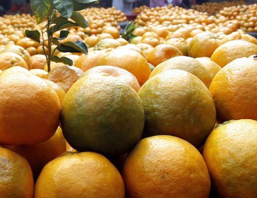 Torna Marca con più di 500 aziende e 750 espositori
